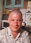 Валерон Демин, 48 лет, Железногорск (Курская обл.)