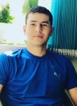 Димаш, 27 лет, Қарағанды