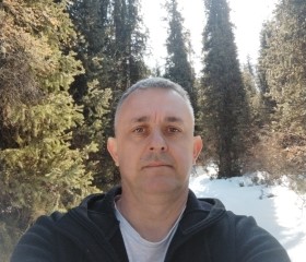 Александр, 48 лет, Бишкек