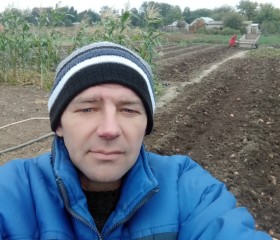 Владимир Абрамов, 44 года, Нижнегорский