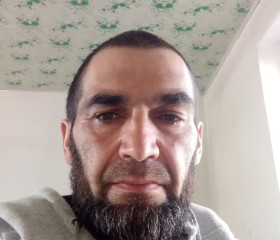 Рустам, 45 лет, Бишкек