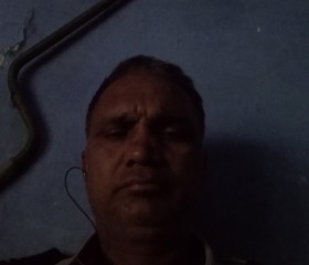 Dilbag Singh, 48 лет, Jalandhar