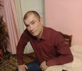 Badi Grigoryan, 43 года, Котельники
