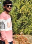 Divyesh Chavda, 19 лет, Ahmedabad