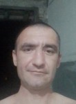 Семён Лёгкий, 37 лет, Краснодар