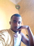Dawite, 31 год, አዲስ አበባ