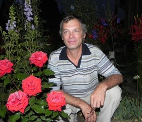 Константин, 62 года, Северск