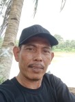 Frans, 30 лет, Kota Bandar Lampung