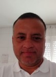 Antonio, 48 лет, Região de Campinas (São Paulo)