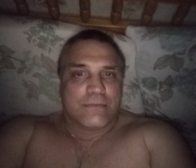 Вадим, 52 года, Тула