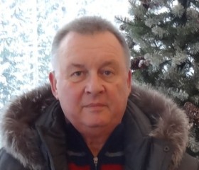 Александр, 71 год, Воронеж