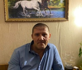 Александр, 47 лет, Спас-Клепики