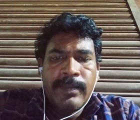 Raj a, 44 года, Chennai