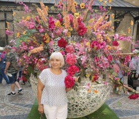 Lora, 65 лет, Chapelle-lez-Herlaimont