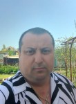 Антон - Камышин