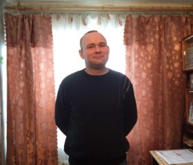 Сергей, 42 года, Людиново