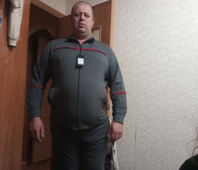 Александр, 43 года, Нижний Новгород