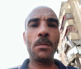 السيد سالم, 40, Bilbays