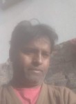 केल राणा, 44 года, Ahmedabad