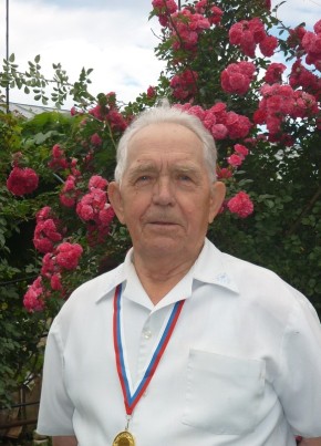 иван, 80, Россия, Лебедянь