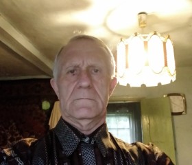 Владимир Долгов, 68 лет, Красногорское (Алтайский край)