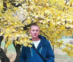 Юрий, 41 год, Саратов