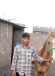 Parmar Meet raj, 20 лет, Gāndhīdhām