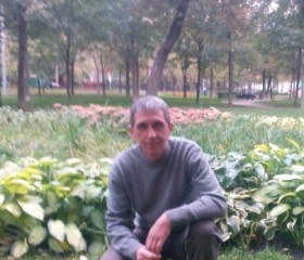 Андрей, 53 года, Гусь-Хрустальный