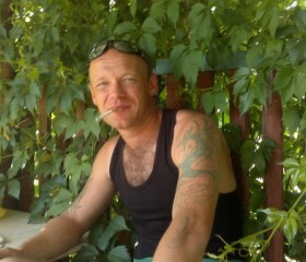Дмитрий, 42 года, Новосергиевка