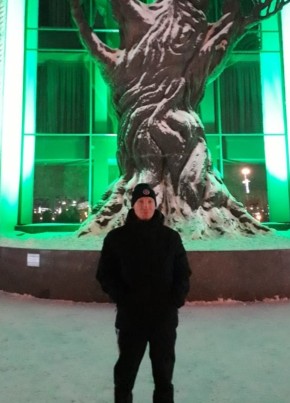 Сергей Давыдов, 42, Россия, Подольск