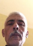 محمد حمدي, 50  , Al Mansurah