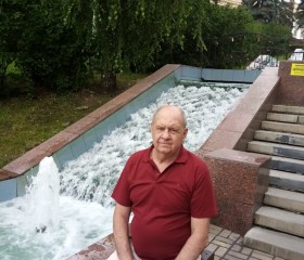 Игорь, 69 лет, Михайловск (Ставропольский край)