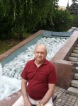 Игорь, 69 лет, Михайловск (Ставропольский край)