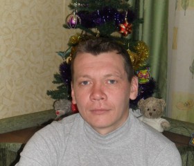 Алексей, 47 лет, Звенигород