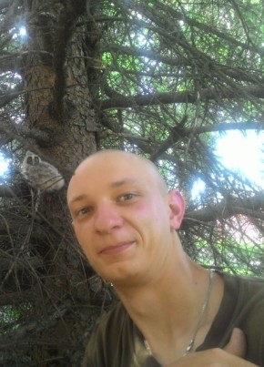 Дмитрий, 29, Україна, Житомир