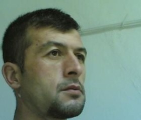 Zulfu, 49 лет, Türkmenabat