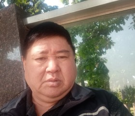 Колян, 55 лет, Бишкек