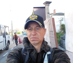 Николай Вереник, 42 года, Тула
