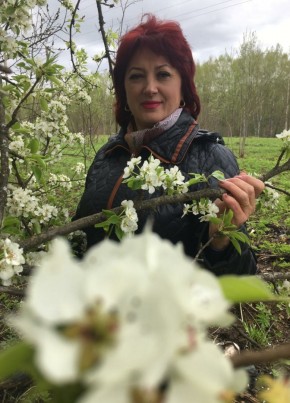 Наталья, 61, Россия, Медынь