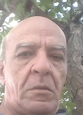 Цолак, 64, Հայաստանի Հանրապետութիւն, Երեվան