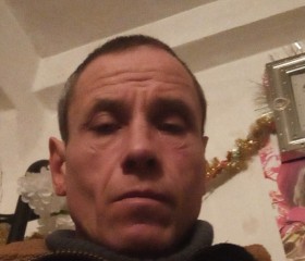 Анатолий, 44 года, Магнитогорск