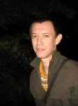 Денис, 42 года, Саратов