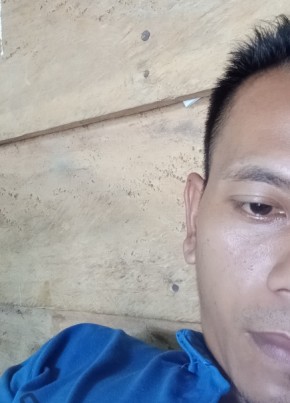 Randy, 24, Indonesia, Kualatungkal