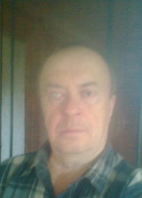 Viktor, 67, Russia, Breytovo