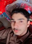 MalikWaqar, 22 года, صادِق آباد