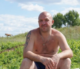 Василий, 49 лет, Старый Оскол