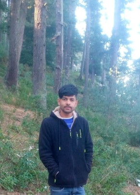 Manav, 26, India, Shimla