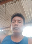 Fernando Ersando, 42 года, Lungsod ng Imus