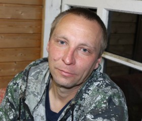 Александр, 45 лет, Кириллов