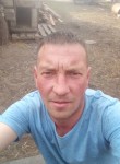 Андрей, 38 лет, Тольятти